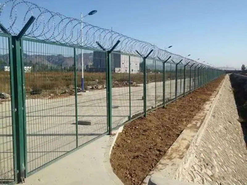 �C���o�ھW(w��ng)