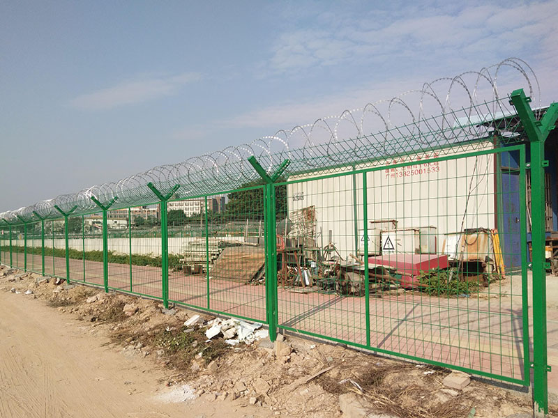 �C���o�W(w��ng)